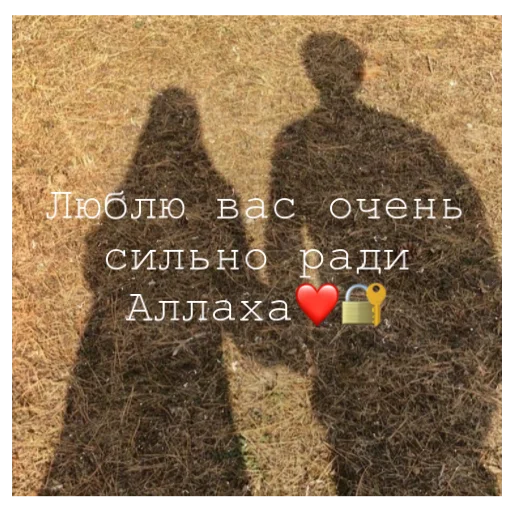 Стикерпак alfalyakstick для Telegram — скачать