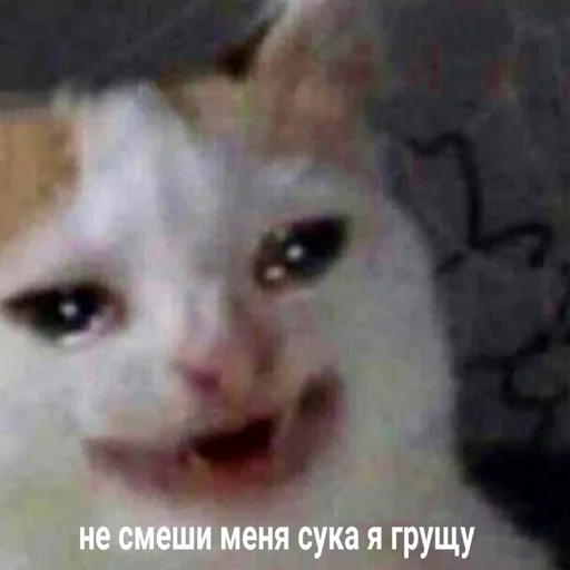😿 Стикер «ИЙЦО» для Telegram