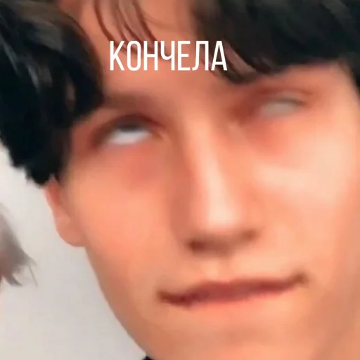 🥵 Стикер «American&;s tiktok??» для Telegram