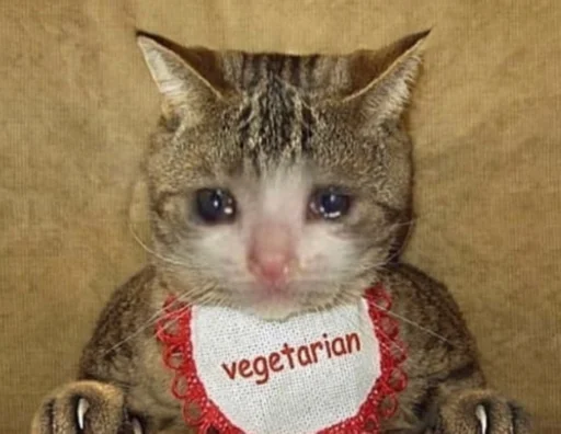 🍴 Стикер «ಥ_ಥ» для Telegram