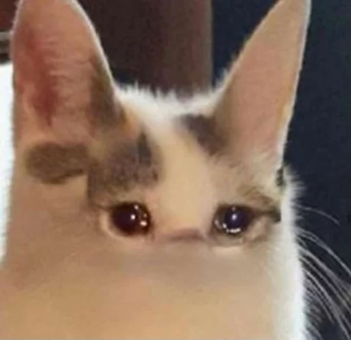 😞 Стикер «ಥ_ಥ» для Telegram