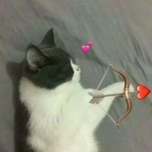💕 Стикер «ಥ_ಥ» для Telegram