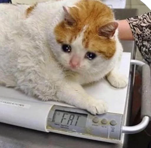 🥺 Стикер «ಥ_ಥ» для Telegram