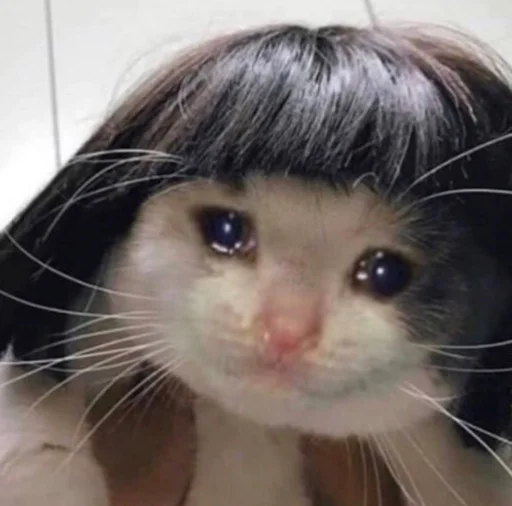 😔 Стикер «ಥ_ಥ» для Telegram