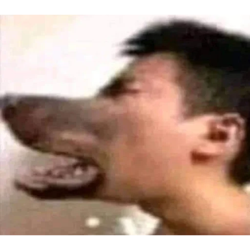 🐺 Стикер «meme!! ‍⬛» для Telegram