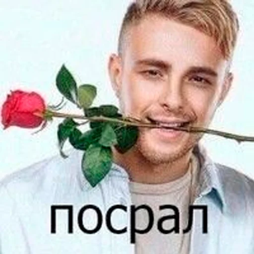 🌹 Стикер «серьёзный пак» для Telegram