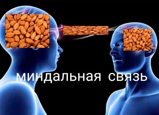 🌰 Стикер «серьёзный пак» для Telegram
