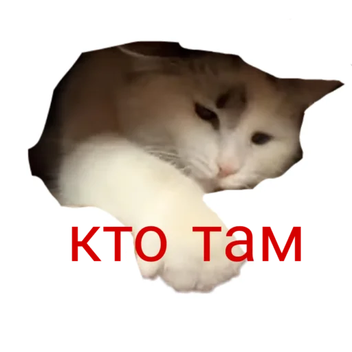 🧐 Стикер «Муська myrzik» для Telegram