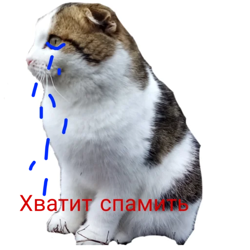 😭 Стикер «Муська myrzik» для Telegram