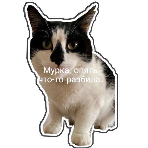 🐈‍⬛️ Стикер «Муська myrzik» для Telegram
