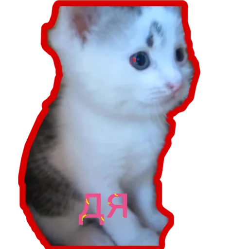 🥺 Стикер «Муська myrzik» для Telegram