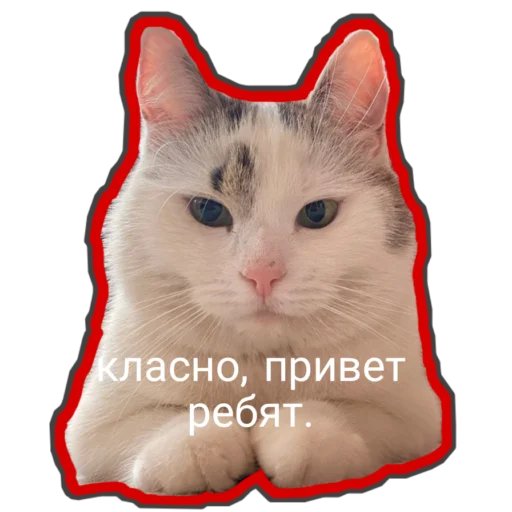 😊 Стикер «Муська myrzik» для Telegram