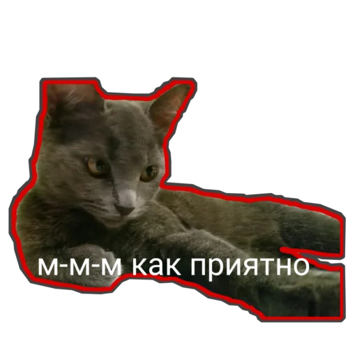😽 Стикер «Муська myrzik» для Telegram