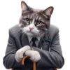 😷 Эмодзи «Котики» для Telegram
