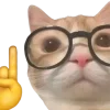 🤓 Эмодзи «Котики» для Telegram