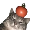 🤠 Эмодзи «Котики» для Telegram