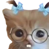 🤓 Эмодзи «Котики» для Telegram
