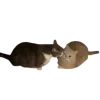 😙 Эмодзи «Котики» для Telegram