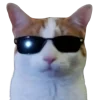 😎 Эмодзи «Котики» для Telegram