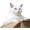 😏 Эмодзи «Котики» для Telegram