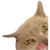 😋 Эмодзи «Котики» для Telegram