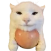 ☺ Эмодзи «Котики» для Telegram