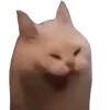 😆 Эмодзи «Котики» для Telegram