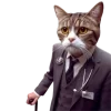 😷 Эмодзи «Котики» для Telegram