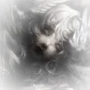 🤩 Эмодзи «Ангел» для Telegram