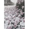 🤩 Эмодзи «Ангел» для Telegram