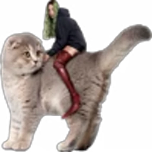 🐈 Эмодзи «grlz» для Telegram