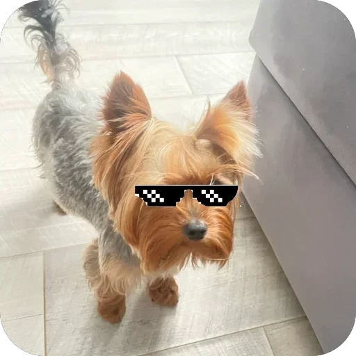 🫥 Стикер «Злой Шелби» для Telegram