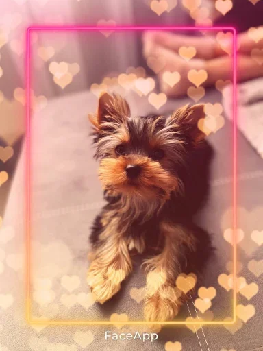 🤩 Стикер «Злой Шелби» для Telegram