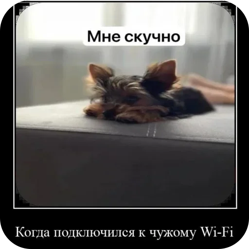 🫥 Стикер «Злой Шелби» для Telegram
