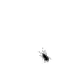 🐛 Эмодзи «🐱 рандом анимации» для Telegram
