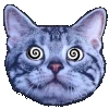 🐱 Эмодзи «random 5» для Telegram