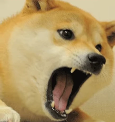 😡 Стикер «Funimals» для Telegram