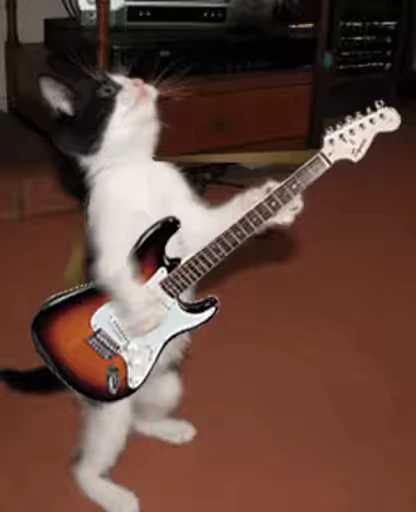 🎸 Стикер «Funimals» для Telegram