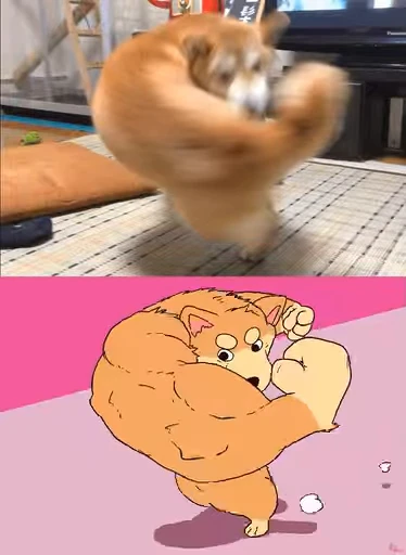 💪 Стикер «Funimals» для Telegram