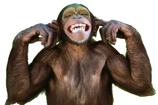 🔇 Стикер «Funny animals» для Telegram