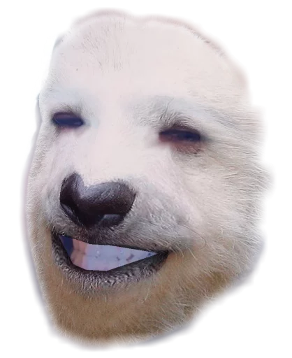 😁 Стикер «Funny animals» для Telegram