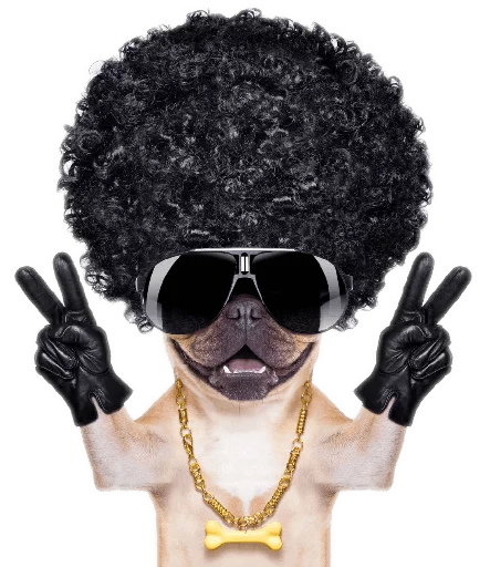 ✌ Стикер «Funny animals» для Telegram