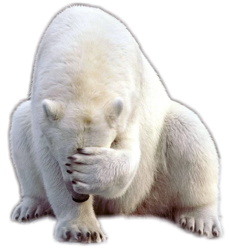 😓 Стикер «Funny animals» для Telegram