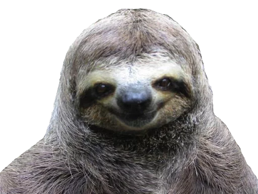 😊 Стикер «Funny animals» для Telegram