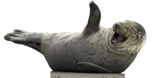 Стикерпак Funny animals для Telegram