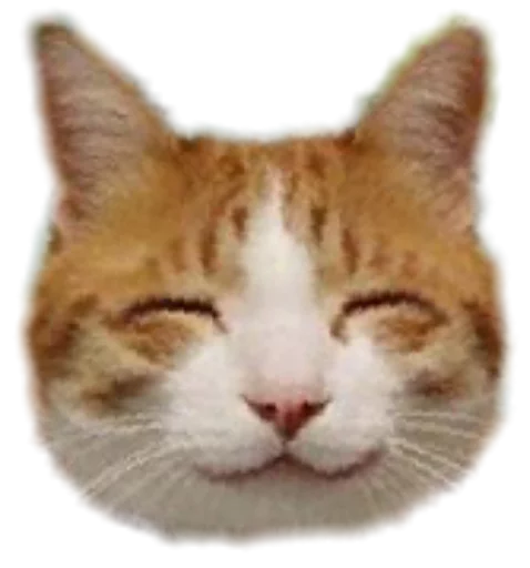 😊 Стикер «Funny animals» для Telegram
