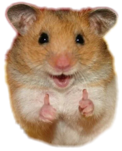 👍 Стикер «Funny animals» для Telegram