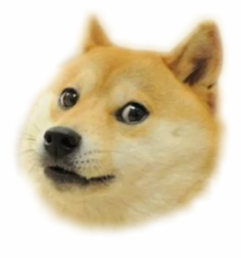 🐶 Стикер «Funny animals» для Telegram