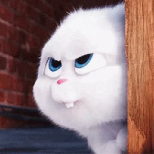 👀 Стикер «Animals 00 15» для Telegram