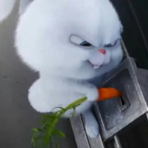 😑 Стикер «Animals 00 15» для Telegram
